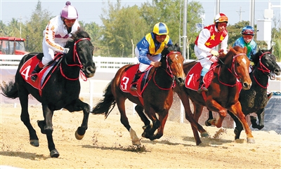 4203925_hnrbtp3_1549549485670_b 4203925_hnrbtp3_1549549485670_b