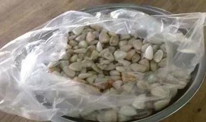 微信截圖_20190226112416 微信截圖_20190226112416