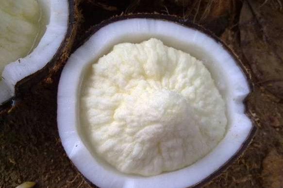 微信截圖_20190226112447 微信截圖_20190226112447