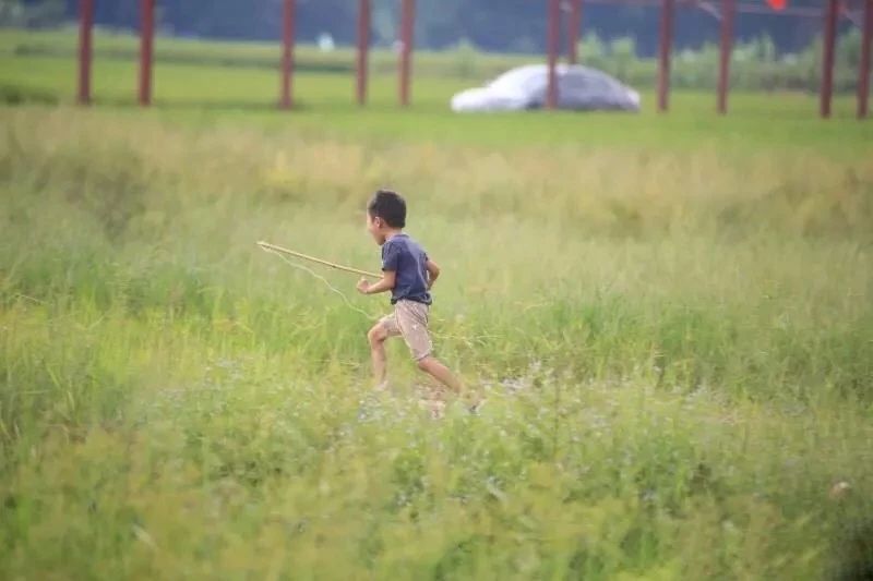 微信圖片_20190307110457 微信圖片_20190307110457