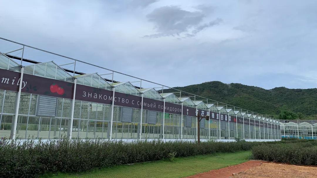 微信圖片_20190523181905 微信圖片_20190523181905