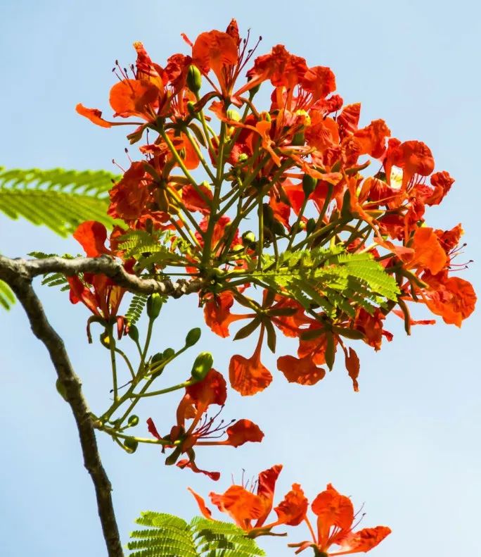 微信圖片_20190524192246