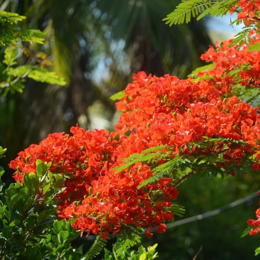 微信圖片_20190524192210