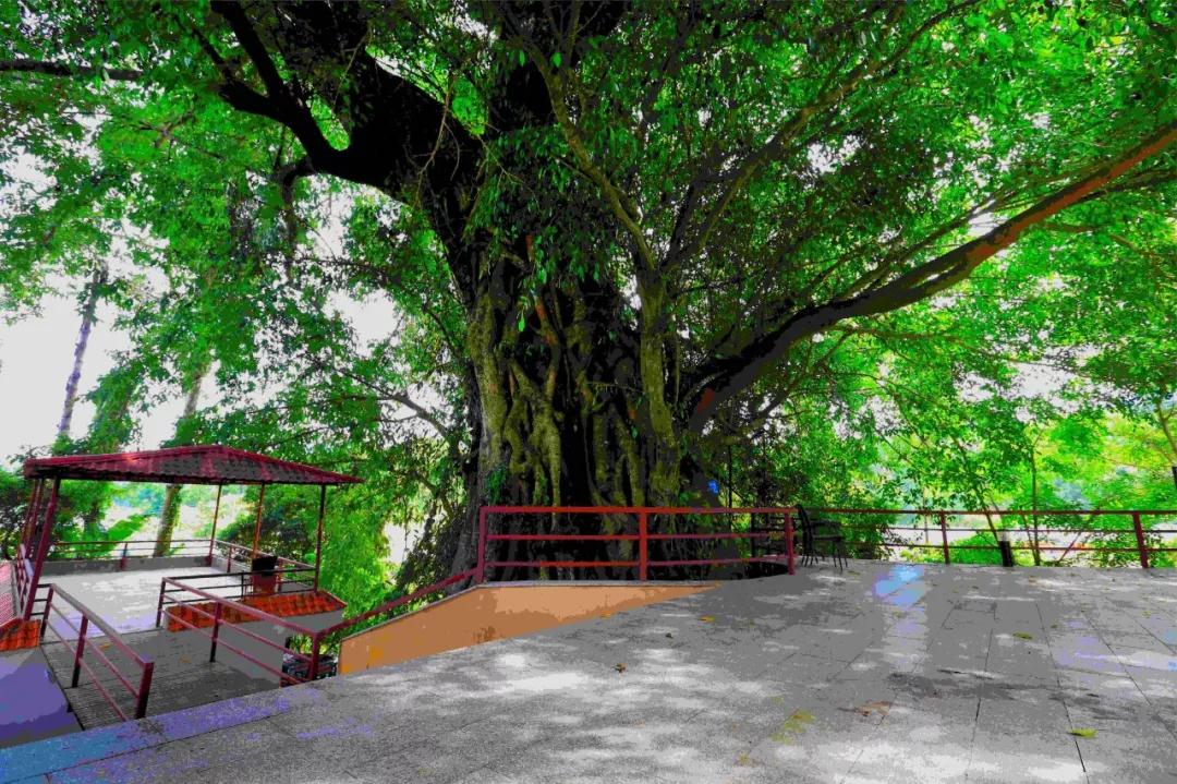 微信圖片_20190527194914 微信圖片_20190527194914