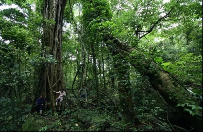 微信圖片_20190527194851 微信圖片_20190527194851