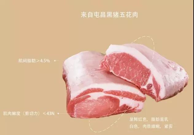 微信圖片_20190603095530