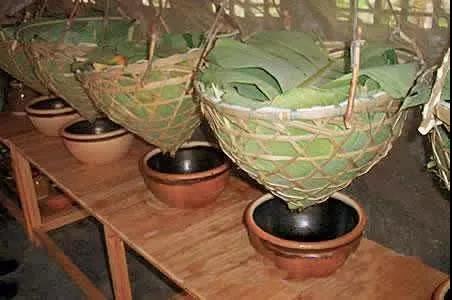 微信圖片_20190604095601 微信圖片_20190604095601