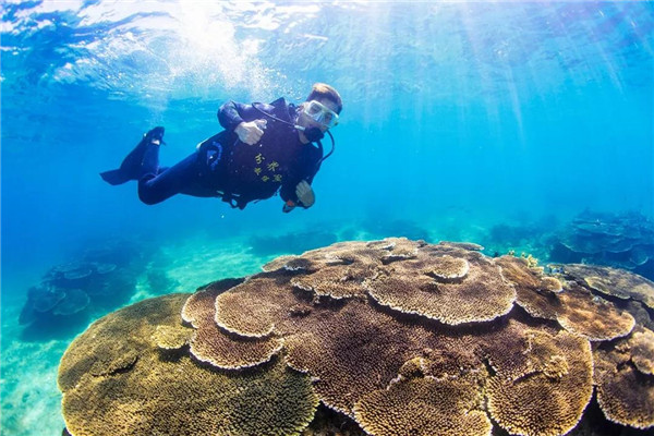 微信圖片_20190701175803 微信圖片_20190701175803