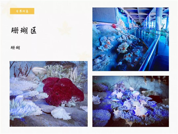 微信圖片_20190701175630 微信圖片_20190701175630