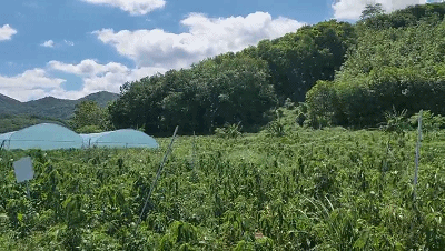 微信圖片_20190704163330 微信圖片_20190704163330