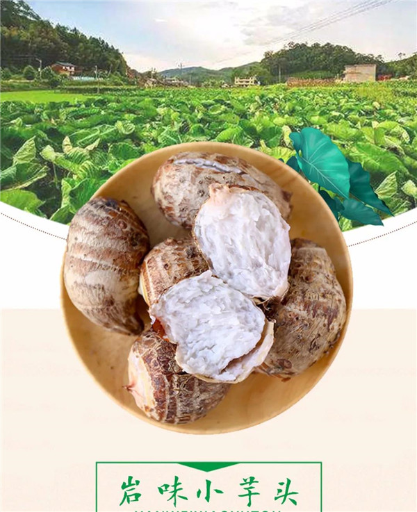 微信圖片_20190709171516 微信圖片_20190709171516