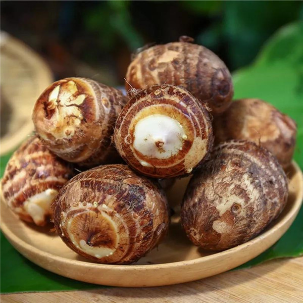 微信圖片_20190709171520 微信圖片_20190709171520