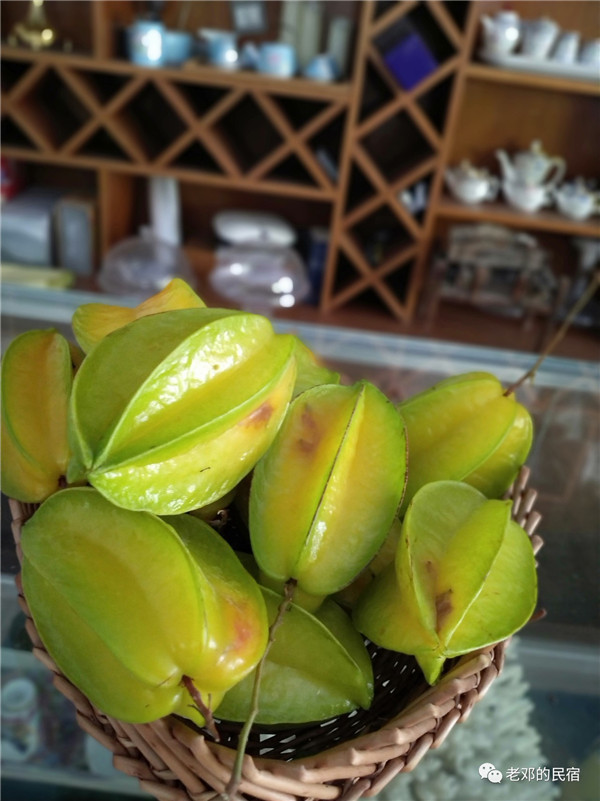 微信圖片_20190710084619 微信圖片_20190710084619