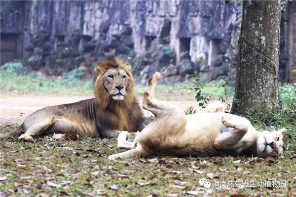 微信圖片_20190712095509 微信圖片_20190712095509