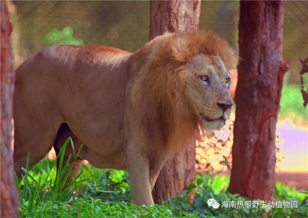 微信圖片_20190712095535 微信圖片_20190712095535