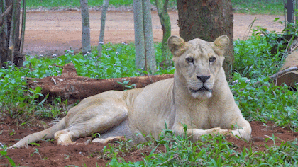 微信圖片_20190712100114 微信圖片_20190712100114