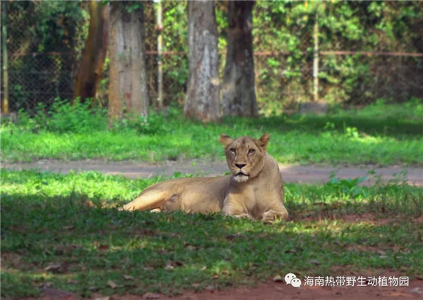 微信圖片_20190712095517 微信圖片_20190712095517