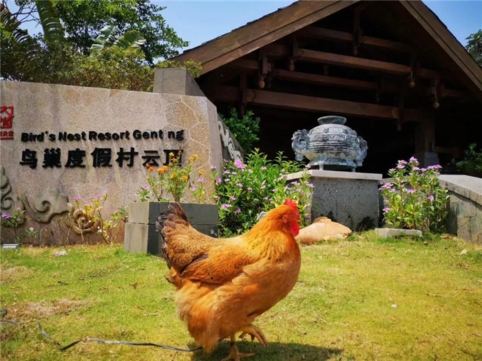 微信圖片_20190715170327 微信圖片_20190715170327