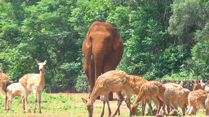 微信圖片_20190718153616 微信圖片_20190718153616