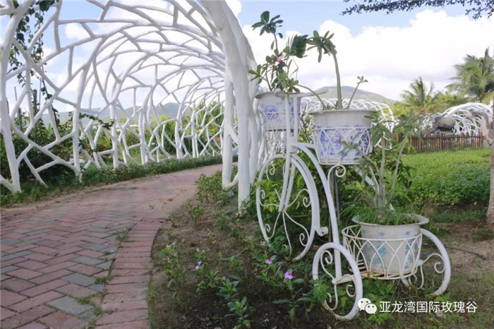 微信圖片_20190718164343 微信圖片_20190718164343