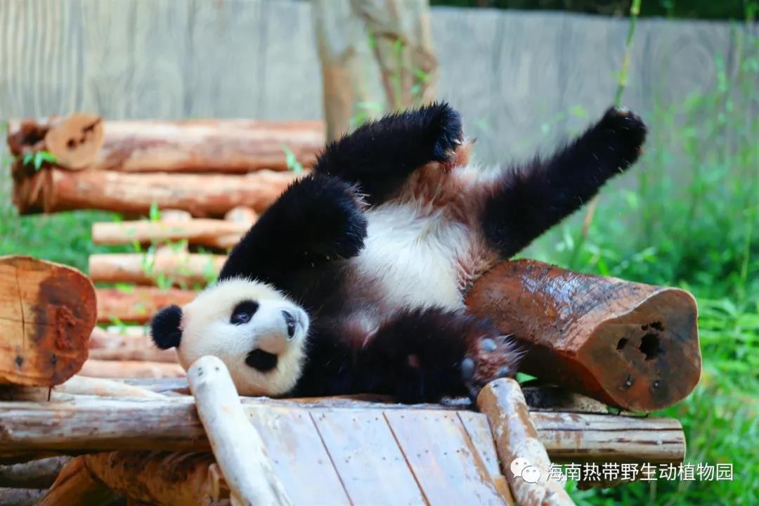 微信圖片_20190718153527 微信圖片_20190718153527