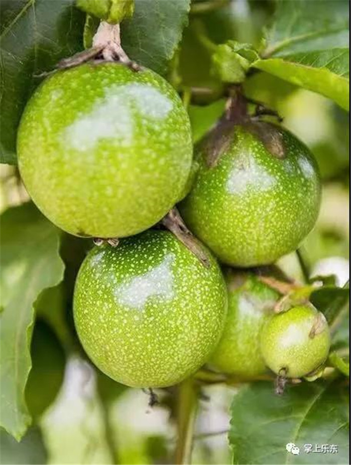 微信圖片_20190801085343