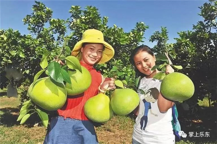 微信圖片_20190801085350