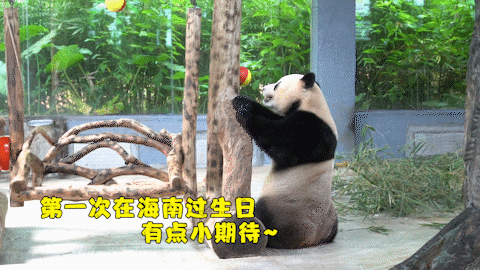 微信圖片_20190803160247