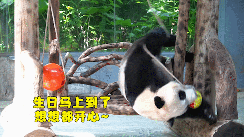 微信圖片_20190803160250