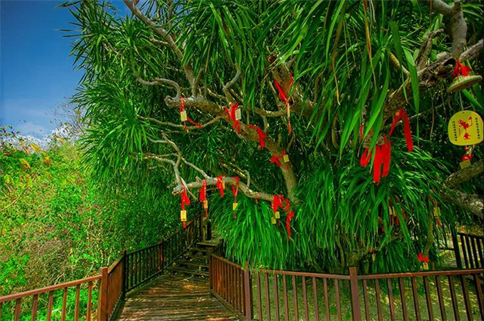 微信圖片_20190831151658 微信圖片_20190831151658