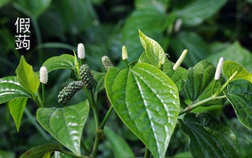 uwMauaMJ_Es5p uwMauaMJ_Es5p