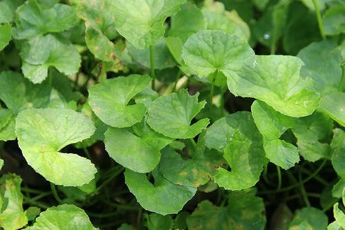 WepeEkFD_a7sK WepeEkFD_a7sK