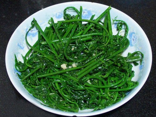 NENEKbue_O824 NENEKbue_O824