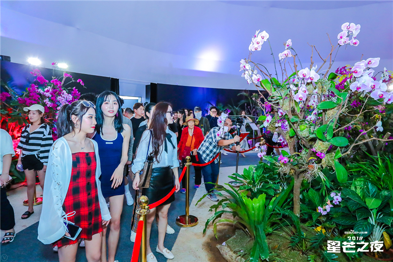 網紅暢游大小洞天打卡首屆三亞國際花卉旅游節 (7)