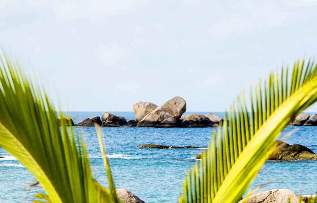 微信圖片_20200313203211 微信圖片_20200313203211