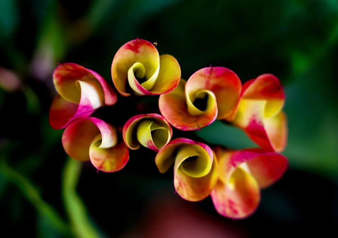 微信圖片_20200313203157 微信圖片_20200313203157