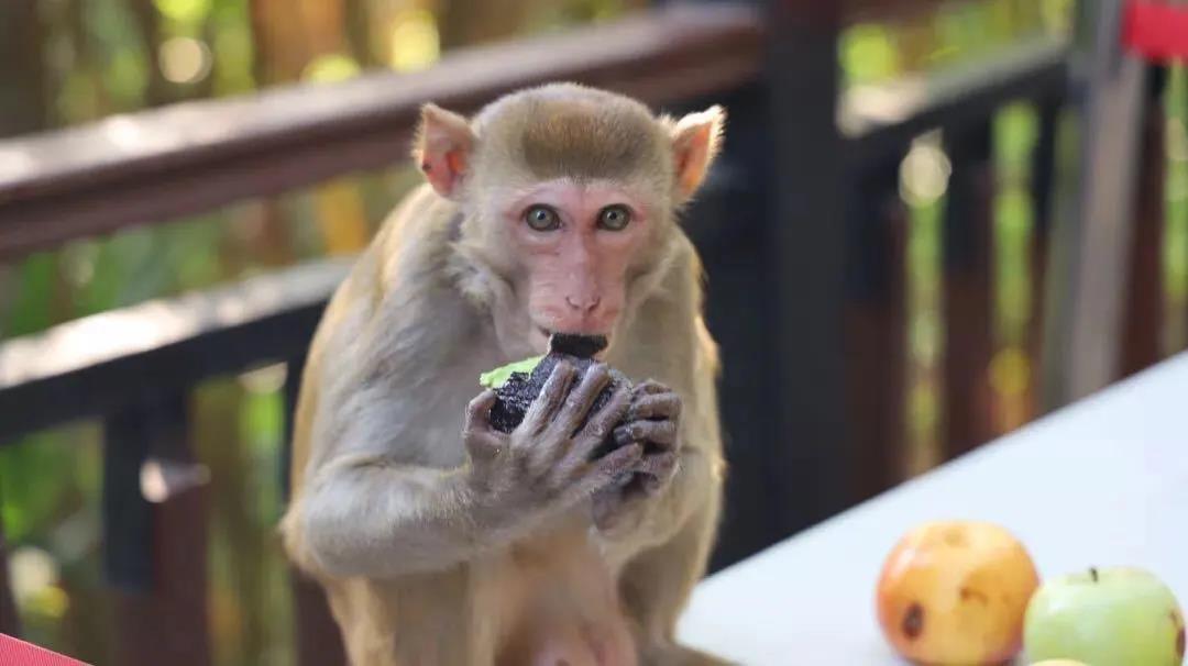 微信圖片_20200313203226 微信圖片_20200313203226