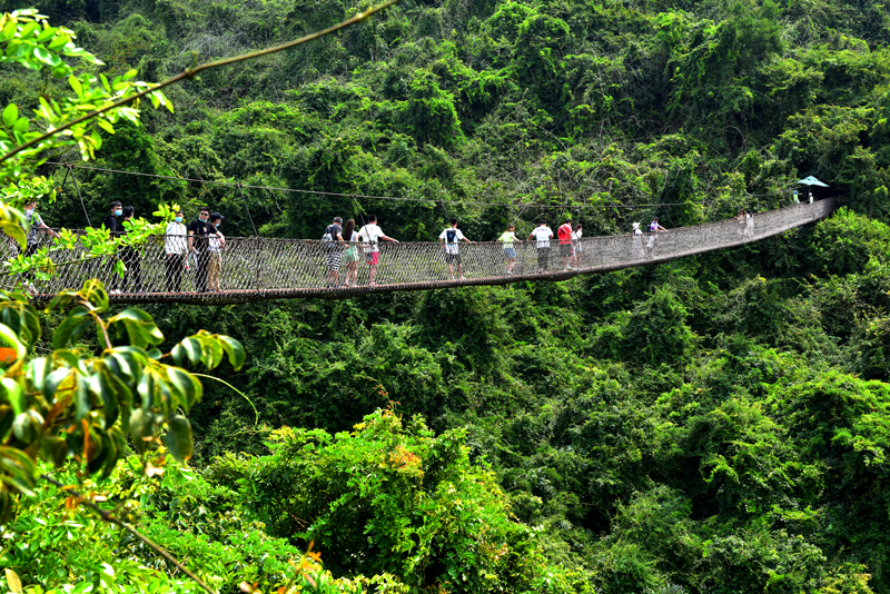 微信圖片_20200321111812 微信圖片_20200321111812