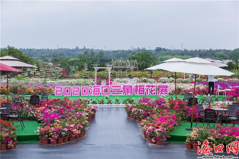 JxXxIPsz_raBu JxXxIPsz_raBu