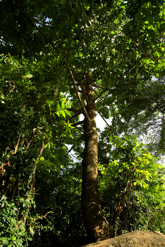 微信圖片_20200703162922