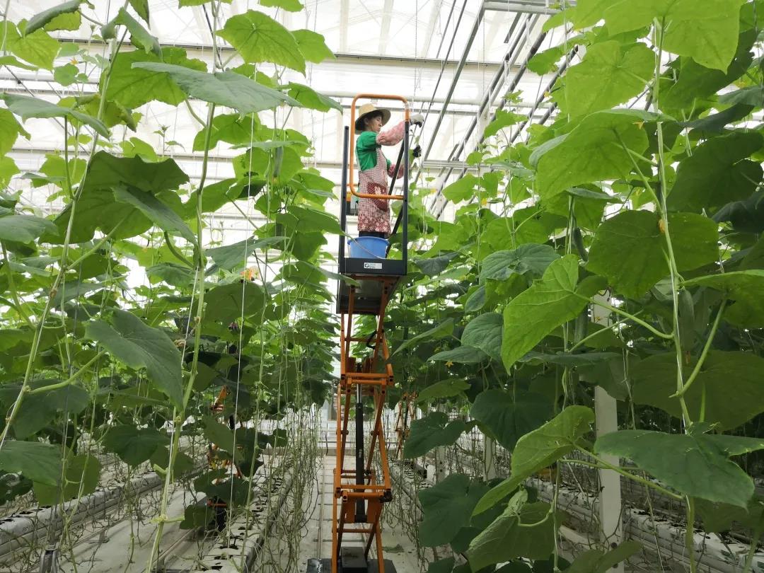 微信圖片_20200922182041 微信圖片_20200922182041