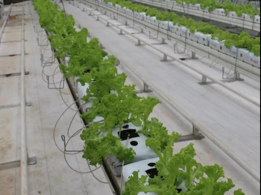 微信圖片_20200922182045 微信圖片_20200922182045