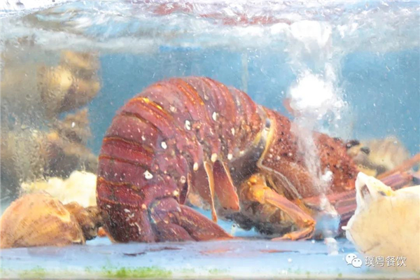 微信圖片_20200923170452 微信圖片_20200923170452