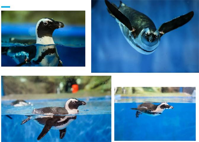 微信截圖_20200930184053 微信截圖_20200930184053