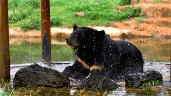 微信圖片_20200930093133 微信圖片_20200930093133