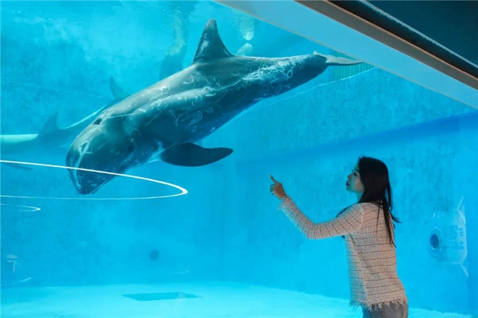 微信圖片_20200930184259 微信圖片_20200930184259