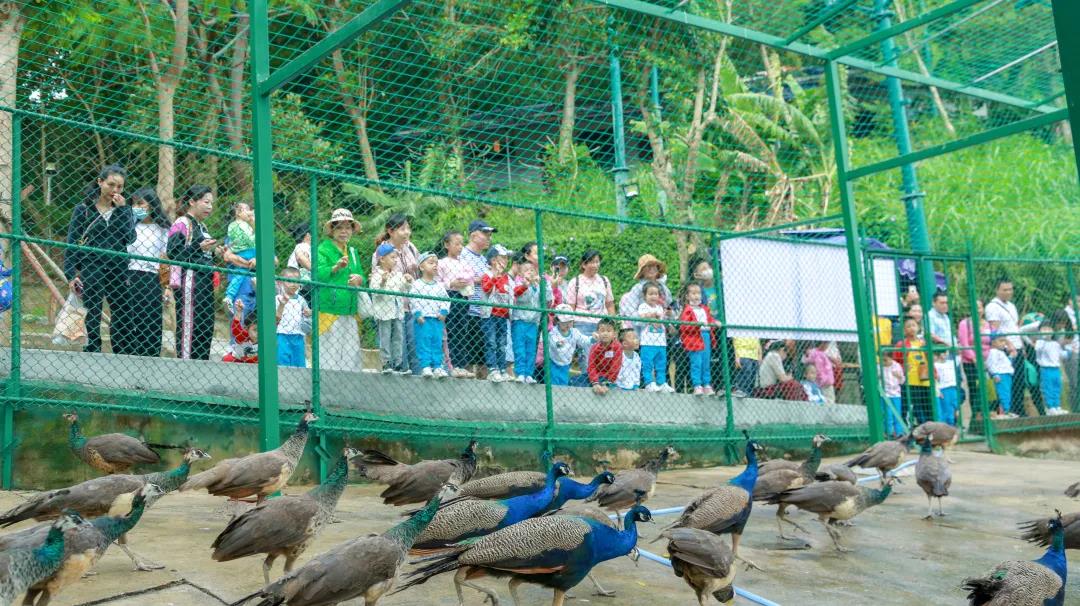 微信圖片_20201208161801 微信圖片_20201208161801