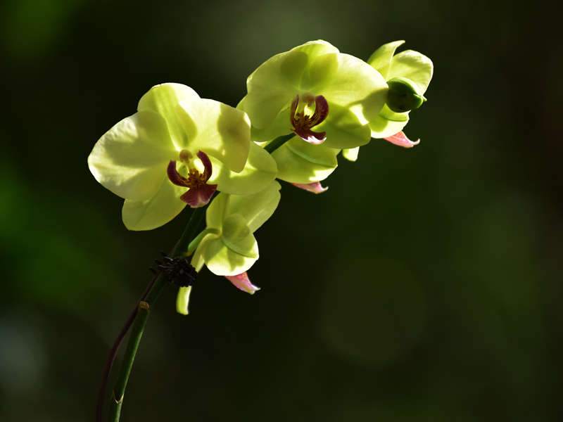 微信圖片_20201212100653 微信圖片_20201212100653