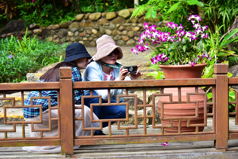 微信圖片_20201212100515 微信圖片_20201212100515