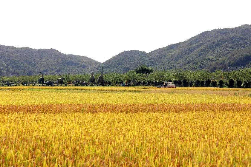 微信圖片_20210430184914